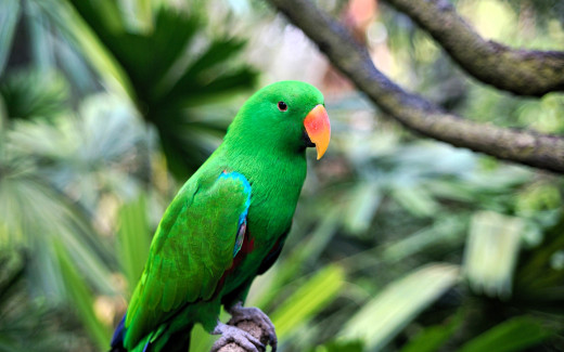 1754584 (a): :1920x1200